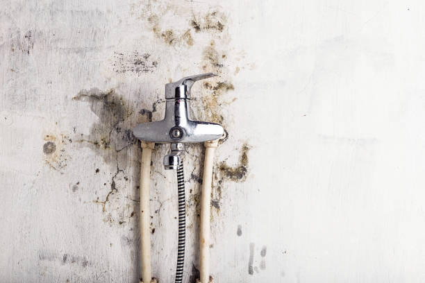 Best Mold Cleaning Services  in Mcgovern, PA