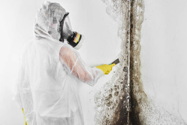 Best Water Damage Restoration  in Mcgovern, PA