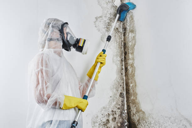 Best Mold Testing  in Mcgovern, PA