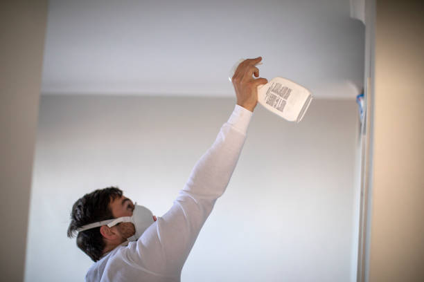 Trusted Mcgovern, PA Mold Removal Experts