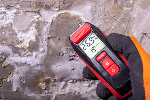 Best Toxic Mold Removal  in Mcgovern, PA