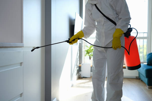 Best Mold Removal and Inspection  in Mcgovern, PA