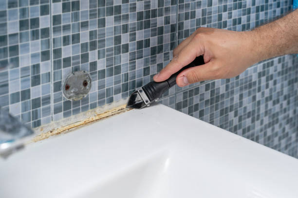 Best Office Mold Removal Services  in Mcgovern, PA